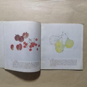 怎样画蔬果——中国画技法入门