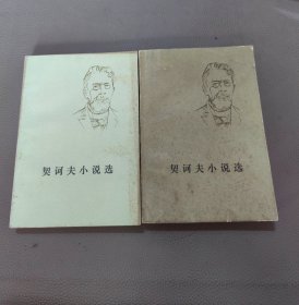 契词夫小说选上下