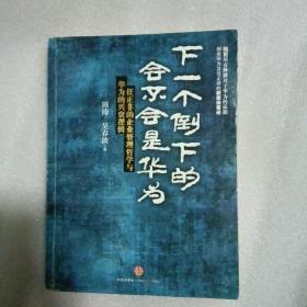 下一个倒下的会不会是华为：任正非的企业管理哲学与华为的兴衰逻辑