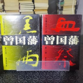 曾国藩（第一三部）：血祭，黑雨