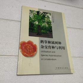 鹅掌楸属树种杂交育种与利用