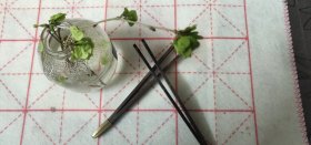 黑檀木功夫茶杯杯夹