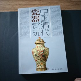 中国清代瓷器赏玩