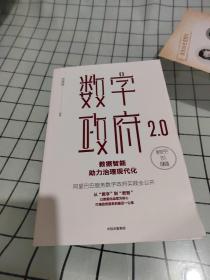 数字政府2.0：数据智能助力治理现代化