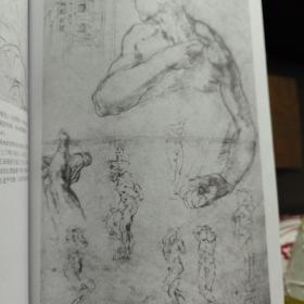 解构人体：艺术人体解剖