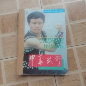 中华武术1995年（1-12）期合订本