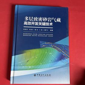 多层致密砂岩气藏高效开发关键技术