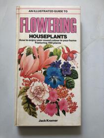 an Illustrated FLOWERING Houseplants Guide