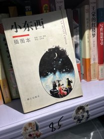 小东西：外国文学名著插图本系列