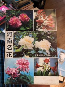 河南名花