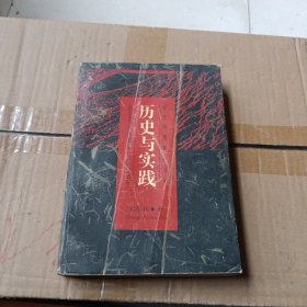 历史与实践：当代中国哲学丛书