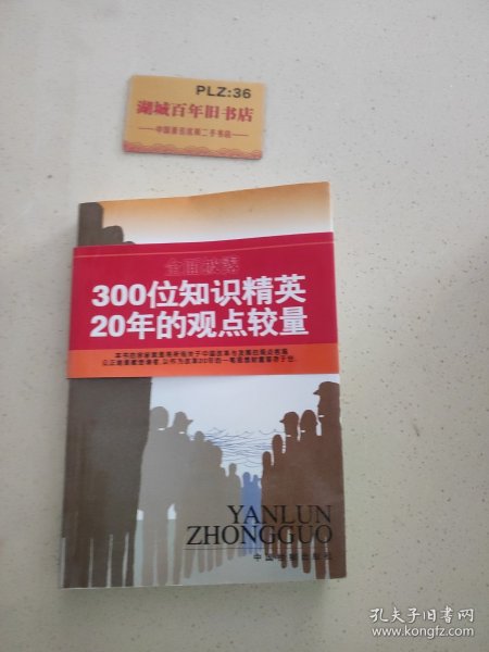 言论中国：——观点交锋20年