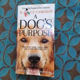 A Dog's Purpose  A Novel for Humans