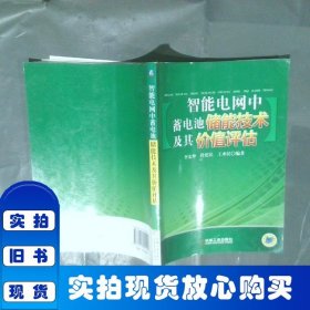 智能電網(wǎng)中蓄電池儲(chǔ)能技術(shù)及其價(jià)值評(píng)估