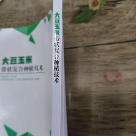 大豆玉米带状复合种植技术