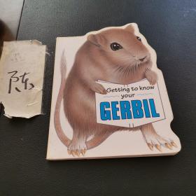 GETTING TO KNOW YOUR GERBIL