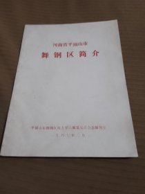 河南省平顶山市舞钢区简介