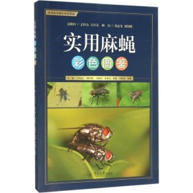 正版现货实用麻蝇彩色图鉴岳巧云 主编9787566817075暨南大学出版社新华仓库多仓直发