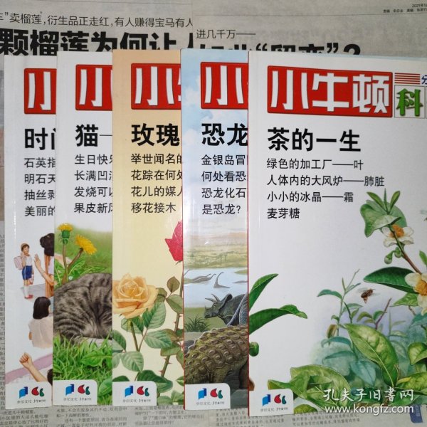 小牛顿科学馆