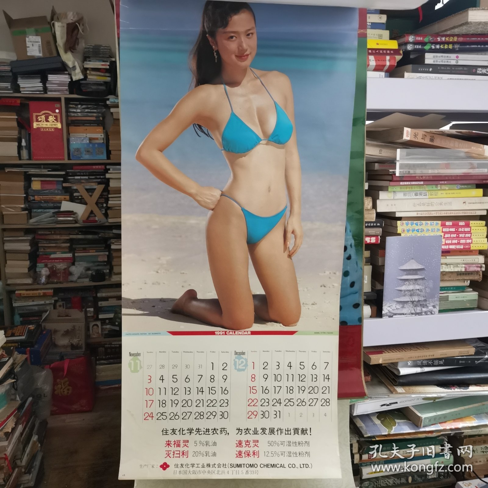1991年美女挂历 铃木京香性感泳装挂历 【 正版品相好 实拍如图 】
