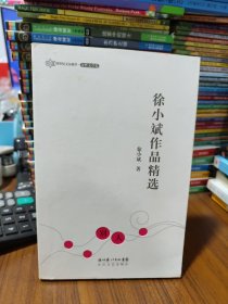 徐小斌作品精选：跨世纪文丛精华本