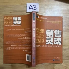 销售灵魂：让销售业绩与人生价值完美结合的全新理念