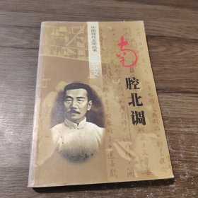中国现代文学丛书：鲁迅杂文 南腔北调