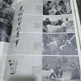 山东画报1984年四期（1、2、3、5）