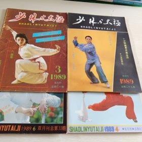 少林与太极 1989年第2、3、4、6期，共四本合售