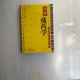 基础藏药学