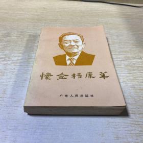 怀念杨康华