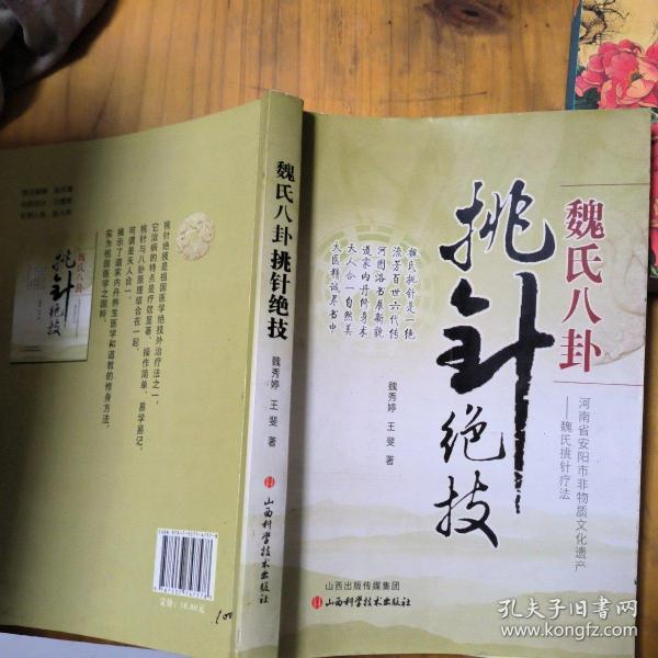 魏氏八卦挑针绝技
