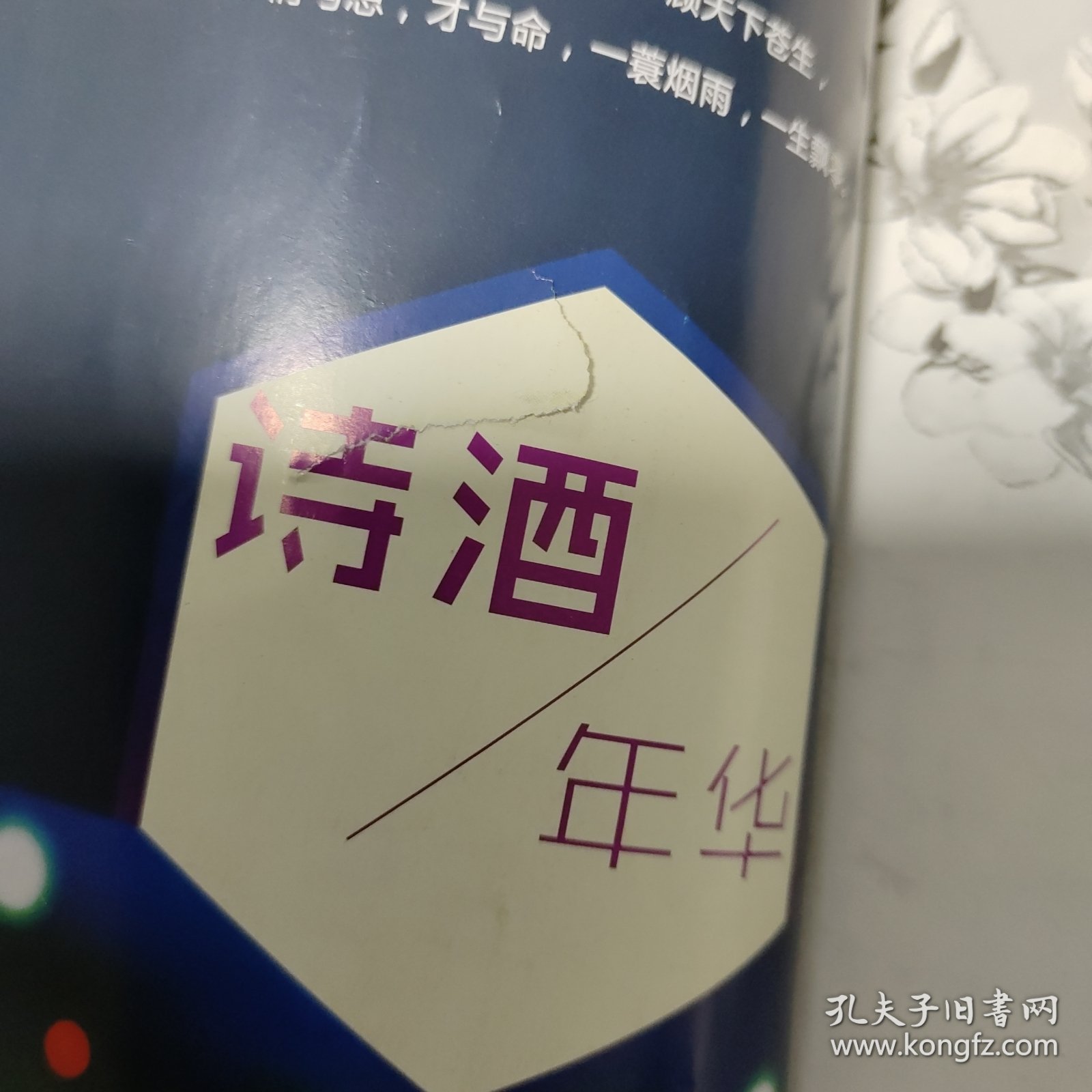 疯狂阅读·青春会客厅8 :诗酒年华