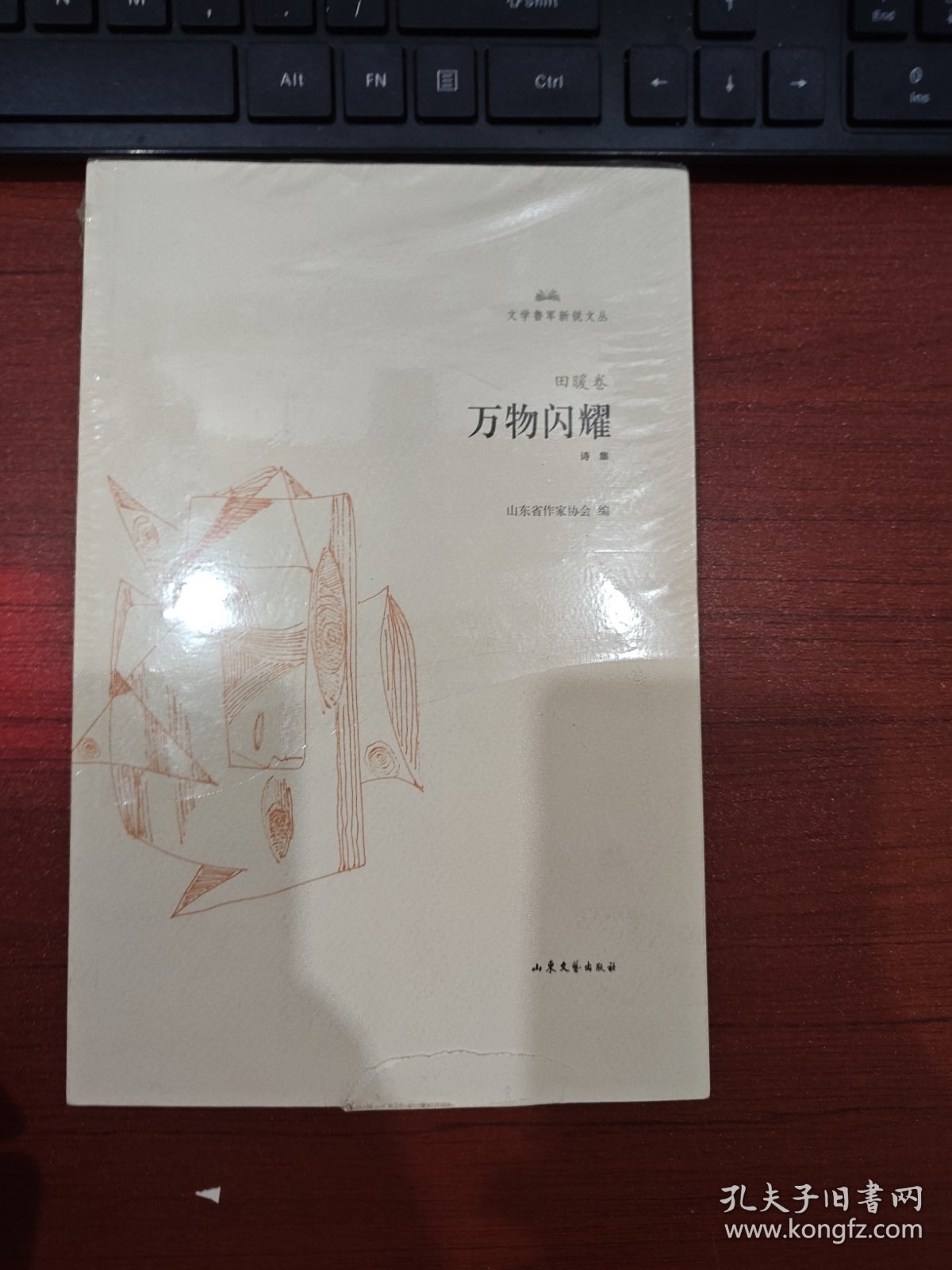 万物闪耀/文学鲁军新锐文丛