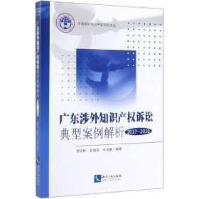 广东涉外知识产权诉讼典型案例解析（2017-2018）