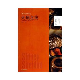 灭顶之灾/谢尔顿作品 外国现当代文学 (美国)西德尼·谢尔顿|译者:张晓//吴静