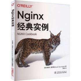 nginx经典实例 编程语言 (美)德里克·德琼格 新华正版