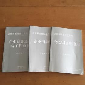 企业系统建设工具包 2013年升级版：企业人才培养与任用 企业招聘管理 企业组织架构与工作分析 3本合售