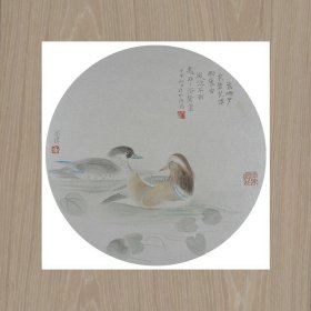 江宏伟 鸳鸯图30x30cm 宣纸高清微喷装饰画芯 国画临摹鉴赏范例