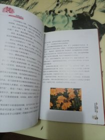 妇科肿瘤的故事