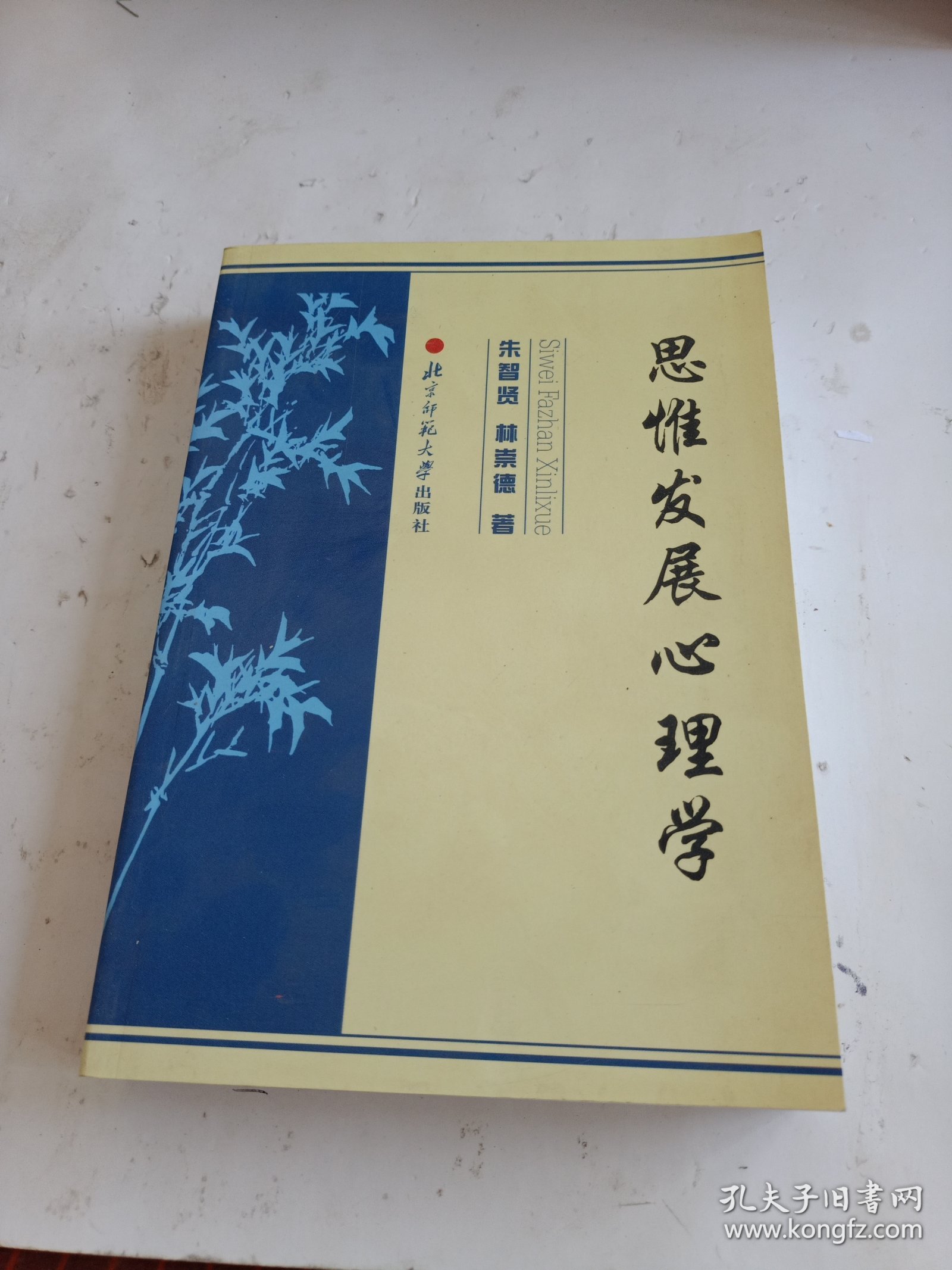 思维发展心理学.