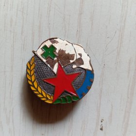 很老很老的卫协文庙街纪念章，少见。