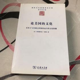 论美国的文化：在本土与全球之间双向运行的文化体制