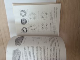 辽西建平北部脉状金矿 包邮挂刷
