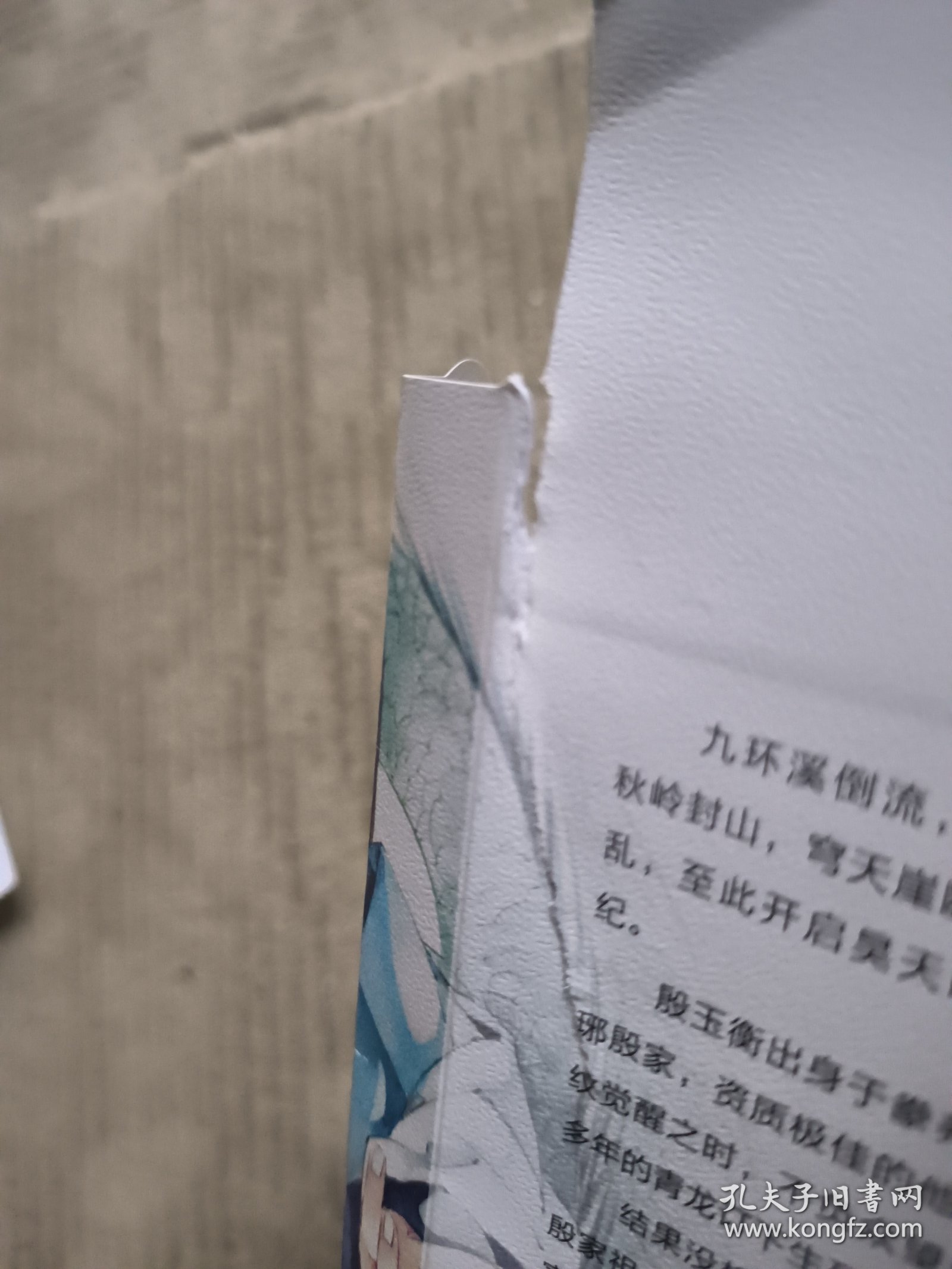 调教成神昊天纪御兽师（湖南人民出版社）仅书皮外封