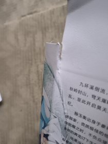 调教成神昊天纪御兽师（湖南人民出版社）仅书皮外封