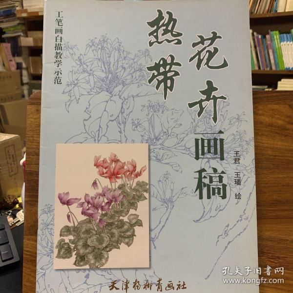 工笔画白描教学示范：热带花卉画稿