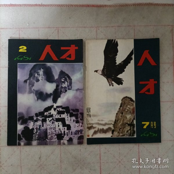 人才杂志(1981年第2期，7月号 总第二，四期)2本