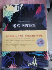 迷宫中的将军