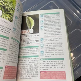 旺家健康花草